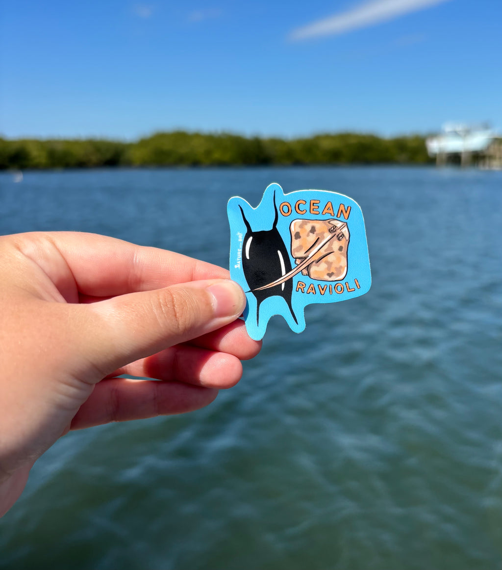 Ocean Ravioli Sticker