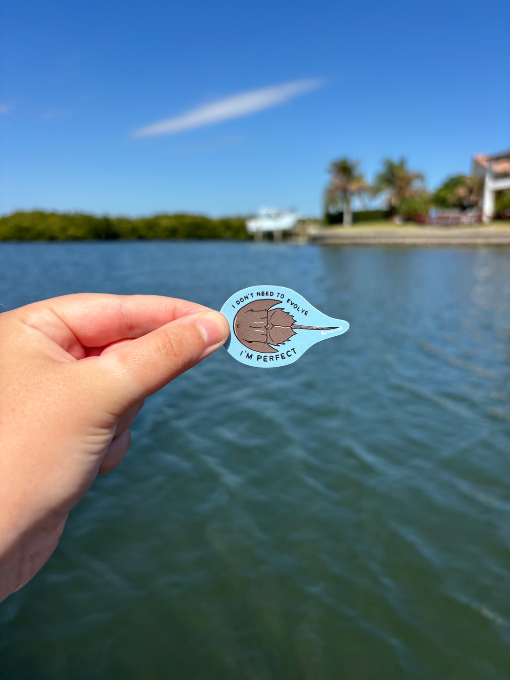 Horseshoe Crab Sticker 'I Don't Need to Evolve I'm Perfect'