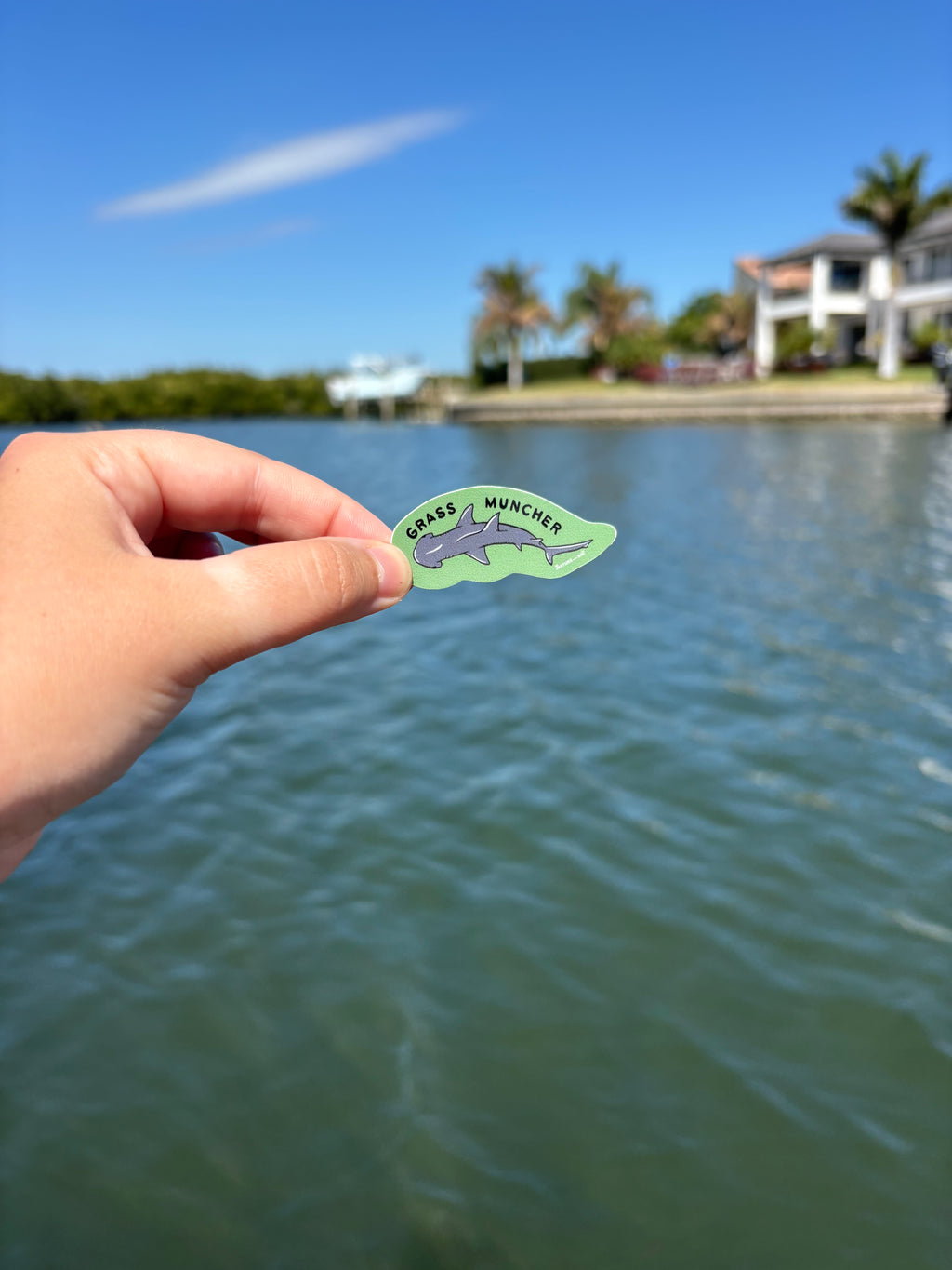 Grass Muncher Bonnethead Shark Sticker