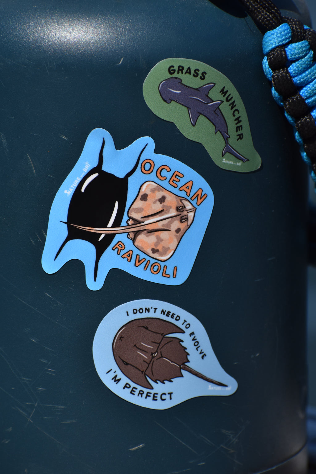 Horseshoe Crab Sticker 'I Don't Need to Evolve I'm Perfect'