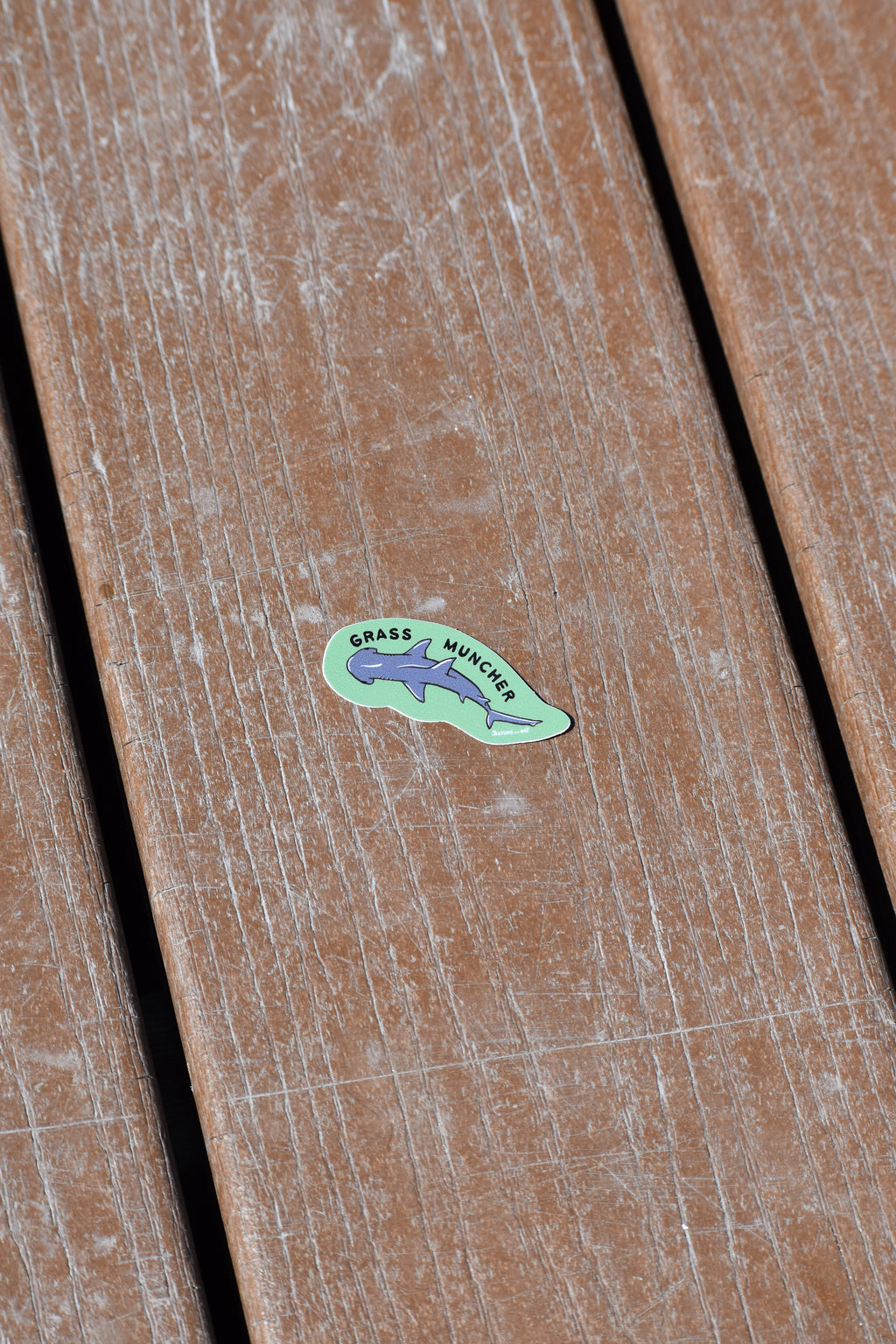 Grass Muncher Bonnethead Shark Sticker