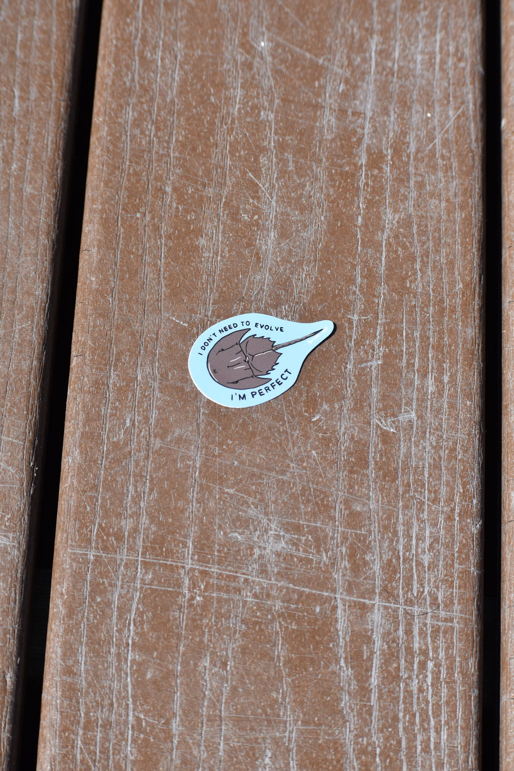 Horseshoe Crab Sticker 'I Don't Need to Evolve I'm Perfect'