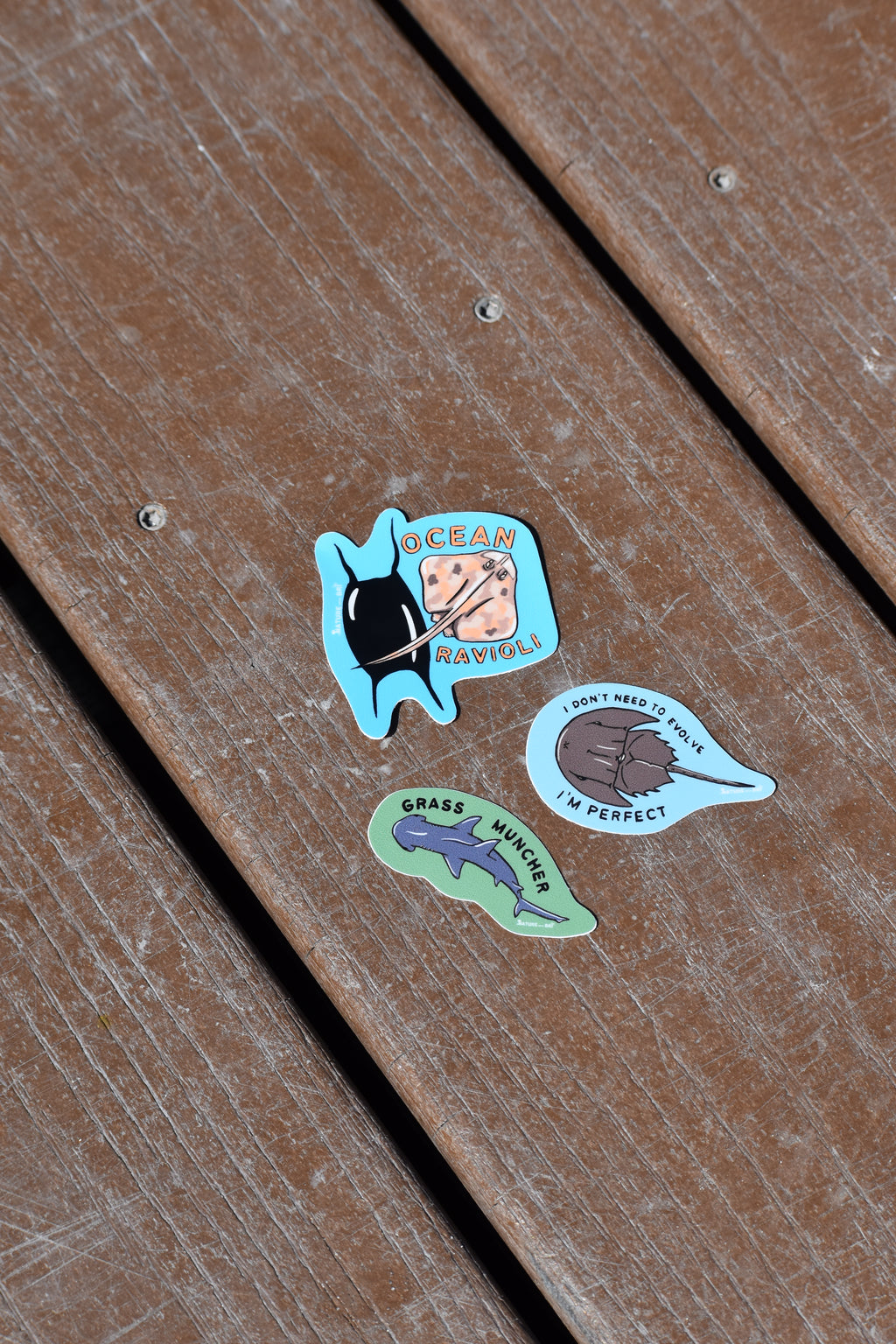 Tampa Bay Marine Life Sticker Bundle